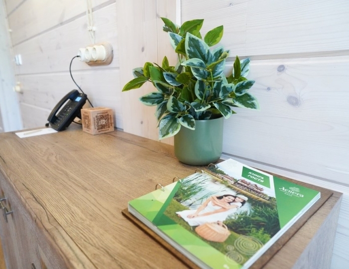 Гостевой дом с тремя спальнями и кабинетом (Дом Важной Птицы) - Эко-отель «Лепота»